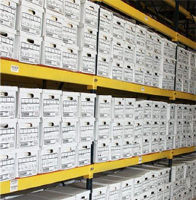 Boxes of documents in storage
